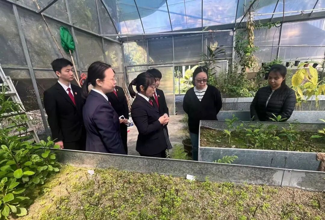 你好，金豆！一场司法“新生”的探访